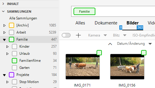 Sammlungen erstellen